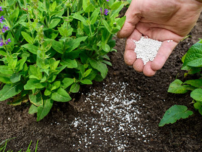 Agricoltura 