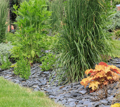 Applicazione Ardesia 4