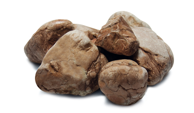 MARRONE BernardelliGroup